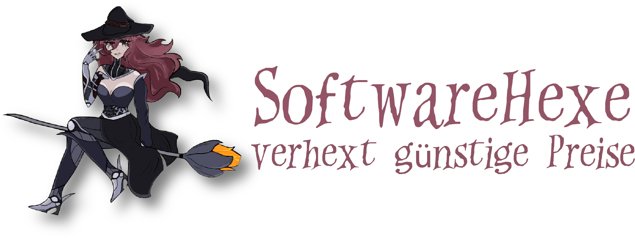 SoftwareHexe Logo